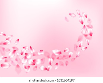 Pink sakura petals confetti flying and falling on rose color background. Flower blossom parts romantic love vector pattern. SPA beauty illustration of sakura bloom petals. Bloom 3d particles.