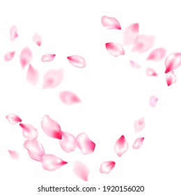 Pink sakura petals confetti flying and falling windy blowing background. Bloom 3d particles. Realistic peach flolwer petals natural decor. Flower blossom parts romantic love vector pattern.