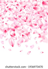 Pink sakura petals confetti flying and falling windy blowing background. Flower blossom parts romantic love vector pattern. Realistic peach flolwer petals natural decor. Abstract card backdrop.