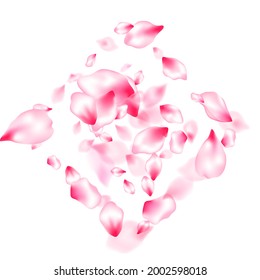 Pink sakura petals confetti flying and falling windy blowing background. Flower blossom parts romantic love vector pattern. Realistic peach flolwer petals natural decor. Postcart background.