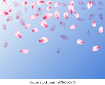 Pink sakura petals confetti flying and falling on blue sky background. Flower blossom parts romantic love vector pattern. Pastel pink blossom petals floral design. Blur effect bloom parts.