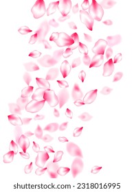 Pink sakura petals confetti flying and falling windy blowing background. Flower blossom parts romantic love vector pattern. Flower blossom particles, petals rain shower. Wedding celebration eps.