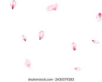 Pétalos de sakura rosa confeti volando y cayendo viento soplando fondo. Patrón romántico del vector del amor de las partes de la flor. Diseño de pétalos de flores de manzana color rosa pastel. Patrón de invitación.