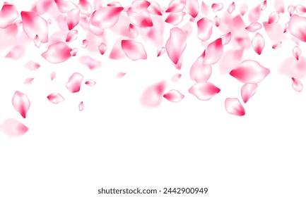 Pink sakura petals confetti flying and falling windy blowing background. Invitation card pattern. Floral natural blossom soft petals illustration. Flower blossom parts romantic love vector pattern.