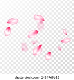 Pink sakura petals confetti flying and falling on transparent background. Invitation card pattern. Spring or summer light flower petals illustration. Flower blossom parts romantic love vector pattern.