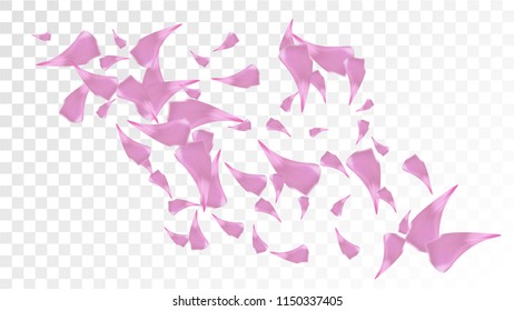 Pink Sakura Petals Falling Down. Isolated vector illustration of Sakura Petals. Flying Cherry Blossom Background. Design of Greeting or Invitation Card. 
