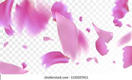 Pink Sakura Petals Falling Down. Isolated vector illustration of Sakura Petals. Flying Cherry Blossom Background. Design of Greeting or Invitation Card. 
