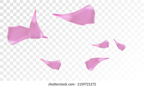 Pink Sakura Petals Falling Down. Isolated Vector illustration of Sakura Petals. Flying Cherry Blossom Background. Design of Greeting or Invitation Card. 

