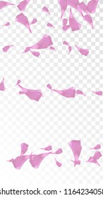 Pink Sakura Petals Falling Down. Isolated Vector illustration of Sakura Petals. Flying Cherry Blossom Background. Design of Greeting or Invitation Card. 

