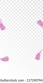 Pink Sakura Petals Falling Down. Isolated Vector illustration of Sakura Petals. Flying Cherry Blossom Background. Design of Greeting or Invitation Card. 
