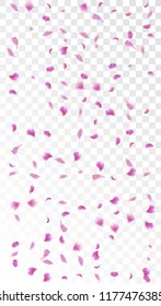 Pink Sakura Petals Falling Down. Isolated Vector illustration of Sakura Petals. Flying Cherry Blossom Background. Design of Greeting or Invitation Card. 
