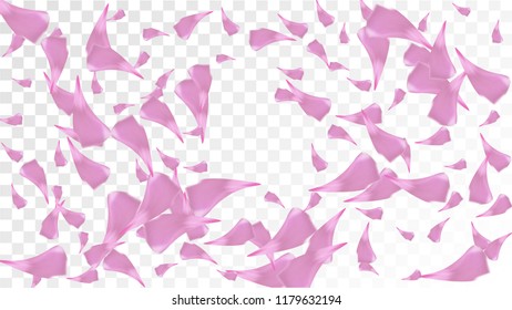 Pink Sakura Petals Falling Down. Isolated Vector illustration of Sakura Petals. Flying Cherry Blossom Background. Design of Greeting or Invitation Card. 
