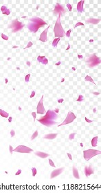 Pink Sakura Petals Falling Down. Isolated Vector illustration of Sakura Petals. Flying Cherry Blossom Background. Design of Greeting or Invitation Card. 
