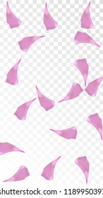 Pink Sakura Petals Falling Down. Isolated Vector illustration of Sakura Petals. Flying Cherry Blossom Background. Design of Greeting or Invitation Card. 
