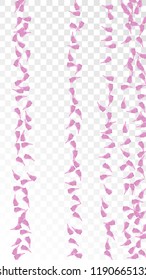 Pink Sakura Petals Falling Down. Isolated Vector illustration of Sakura Petals. Flying Cherry Blossom Background. Design of Greeting or Invitation Card. 
