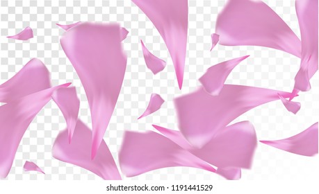 Pink Sakura Petals Falling Down. Isolated Vector illustration of Sakura Petals. Flying Cherry Blossom Background. Design of Greeting or Invitation Card. 
