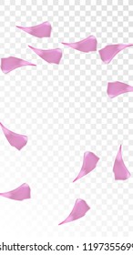 Pink Sakura Petals Falling Down. Isolated Vector illustration of Sakura Petals. Flying Cherry Blossom Background. Design of Greeting or Invitation Card. 
