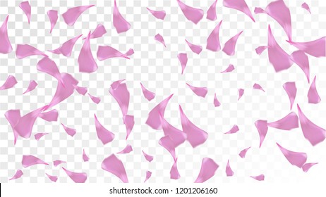 Pink Sakura Petals Falling Down. Isolated Vector illustration of Sakura Petals. Flying Cherry Blossom Background. Design of Greeting or Invitation Card. 
