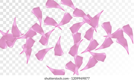 Pink Sakura Petals Falling Down. Isolated Vector illustration of Sakura Petals. Flying Cherry Blossom Background. Design of Greeting or Invitation Card. 
