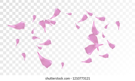 Pink Sakura Petals Falling Down. Isolated Vector illustration of Sakura Petals. Flying Cherry Blossom Background. Design of Greeting or Invitation Card. 
