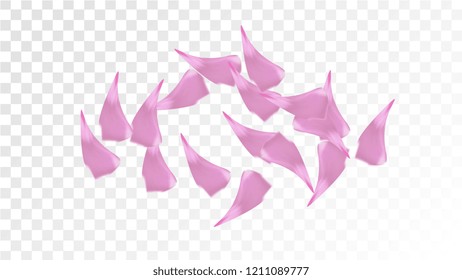 Pink Sakura Petals Falling Down. Isolated Vector illustration of Sakura Petals. Flying Cherry Blossom Background. Design of Greeting or Invitation Card. 
