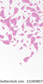 Pink Sakura Petals Falling Down. Isolated Vector illustration of Sakura Petals. Flying Cherry Blossom Background. Design of Greeting or Invitation Card. 
