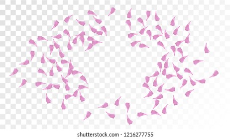 Pink Sakura Petals Falling Down. Isolated Vector illustration of Sakura Petals. Flying Cherry Blossom Background. Design of Greeting or Invitation Card. 
