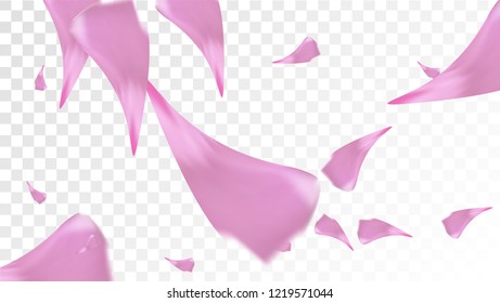 Pink Sakura Petals Falling Down. Isolated Vector illustration of Sakura Petals. Flying Cherry Blossom Background. Design of Greeting or Invitation Card. 
