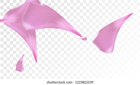 Pink Sakura Petals Falling Down. Isolated Vector illustration of Sakura Petals. Flying Cherry Blossom Background. Design of Greeting or Invitation Card. 
