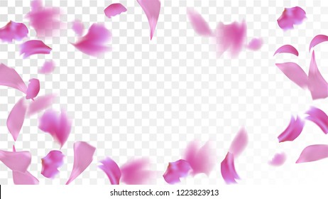 Pink Sakura Petals Falling Down. Isolated Vector illustration of Sakura Petals. Flying Cherry Blossom Background. Design of Greeting or Invitation Card. 
