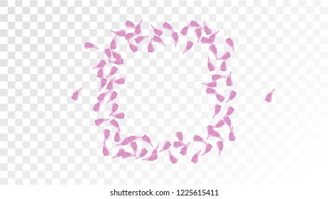 Pink Sakura Petals Falling Down. Isolated Vector illustration of Sakura Petals. Flying Cherry Blossom Background. Design of Greeting or Invitation Card. 
