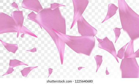 Pink Sakura Petals Falling Down. Isolated Vector illustration of Sakura Petals. Flying Cherry Blossom Background. Design of Greeting or Invitation Card. 
