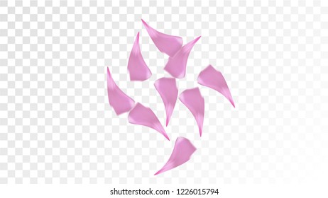 Pink Sakura Petals Falling Down. Isolated Vector illustration of Sakura Petals. Flying Cherry Blossom Background. Design of Greeting or Invitation Card. 
