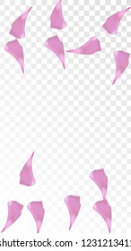 Pink Sakura Petals Falling Down. Isolated Vector illustration of Sakura Petals. Flying Cherry Blossom Background. Design of Greeting or Invitation Card. 
