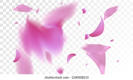 Pink Sakura Petals Falling Down. Isolated Vector illustration of Sakura Petals. Flying Cherry Blossom Background. Design of Greeting or Invitation Card. 
