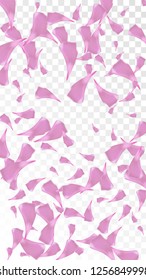 Pink Sakura Petals Falling Down. Isolated Vector illustration of Sakura Petals. Flying Cherry Blossom Background. Design of Greeting or Invitation Card. 
