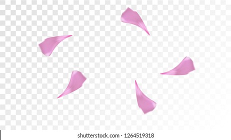 Pink Sakura Petals Falling Down. Isolated Vector illustration of Sakura Petals. Flying Cherry Blossom Background. Design of Greeting or Invitation Card. 
