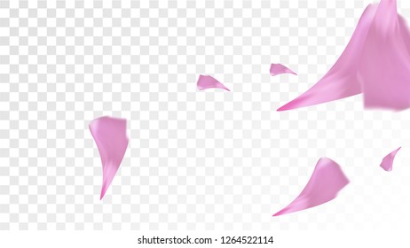 Pink Sakura Petals Falling Down. Isolated Vector illustration of Sakura Petals. Flying Cherry Blossom Background. Design of Greeting or Invitation Card. 
