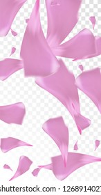 Pink Sakura Petals Falling Down. Isolated Vector illustration of Sakura Petals. Flying Cherry Blossom Background. Design of Greeting or Invitation Card. 
