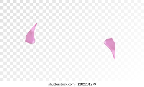 Pink Sakura Petals Falling Down. Isolated Vector illustration of Sakura Petals. Flying Cherry Blossom Background. Design of Greeting or Invitation Card. 
