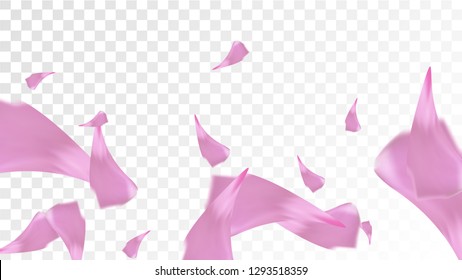 Pink Sakura Petals Falling Down. Isolated Vector illustration of Sakura Petals. Flying Cherry Blossom Background. Design of Greeting or Invitation Card. 
