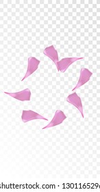 Pink Sakura Petals Falling Down. Isolated Vector illustration of Sakura Petals. Flying Cherry Blossom Background. Design of Greeting or Invitation Card. 
