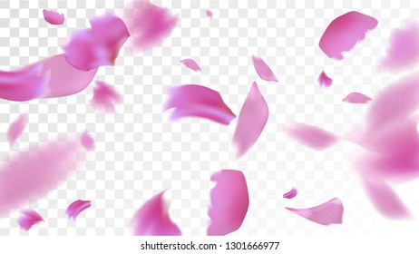 Pink Sakura Petals Falling Down. Isolated Vector illustration of Sakura Petals. Flying Cherry Blossom Background. Design of Greeting or Invitation Card. 
