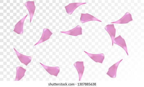 Pink Sakura Petals Falling Down. Isolated Vector illustration of Sakura Petals. Flying Cherry Blossom Background. Design of Greeting or Invitation Card. 
