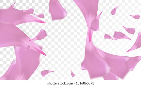 Pink Sakura Petals Falling Down. Isolated Vector illustration of Sakura Petals. Flying Cherry Blossom Background. Design of Greeting or Invitation Card. 
