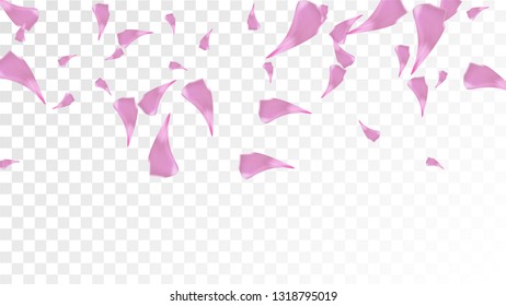 Pink Sakura Petals Falling Down. Isolated Vector illustration of Sakura Petals. Flying Cherry Blossom Background. Design of Greeting or Invitation Card. 
