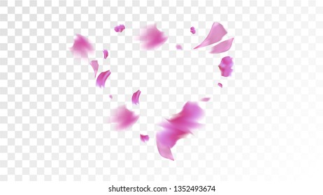 Pink Sakura Petals Falling Down. Isolated Vector illustration of Sakura Petals. Flying Cherry Blossom Background. Design of Greeting or Invitation Card. 
