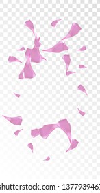 Pink Sakura Petals Falling Down. Isolated Vector illustration of Sakura Petals. Flying Cherry Blossom Background. Design of Greeting or Invitation Card. 
