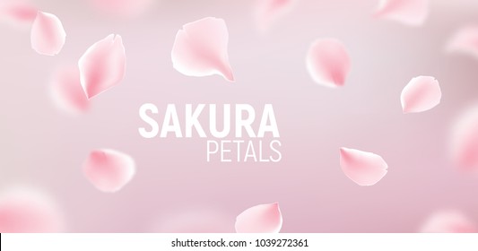 Pink sakura petals falling flower vector background. Romantic blossom sakura flower petals.