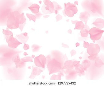 Pink sakura petals falling flower vector background. Romantic blossom isolated on white background. Overlay Valentines 3D illustration. Spring tender light center backdrop. Tenderness romance design